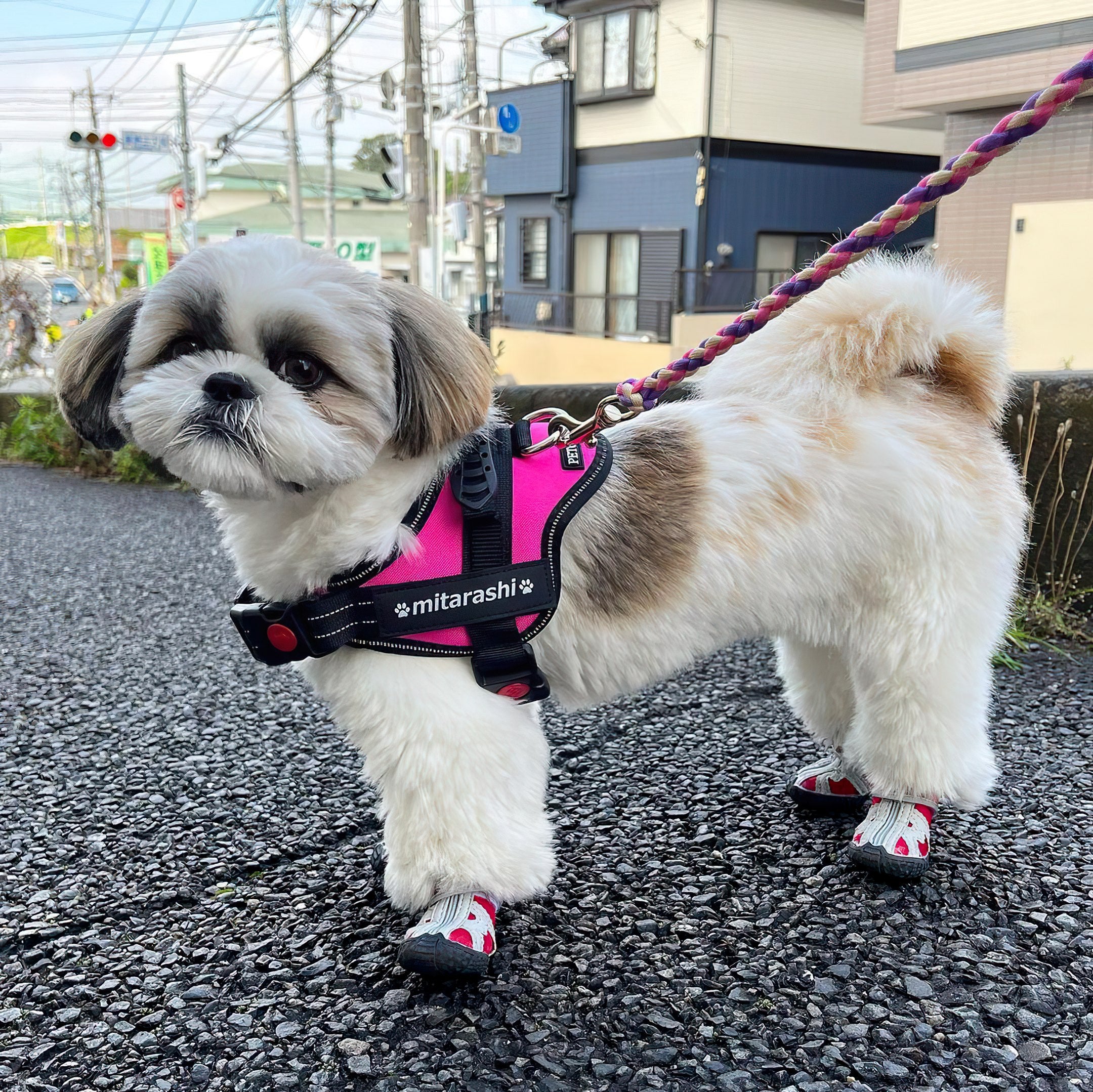 Petcanva® オーダーメイド犬用ハーネス